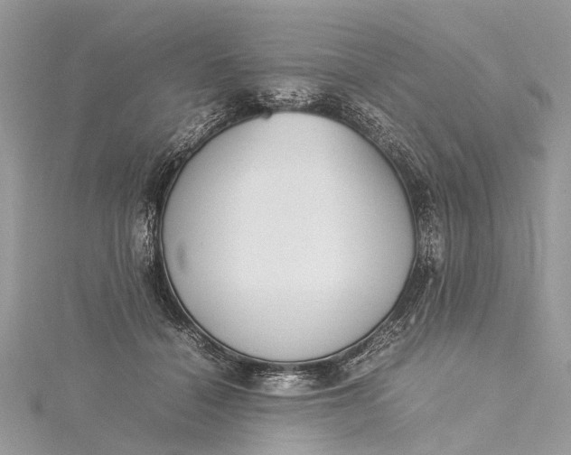X0000115500460200911201622