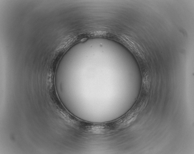 X0000115500462200911201622