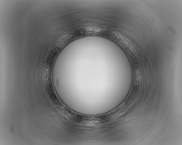 X0000115500463200911201622