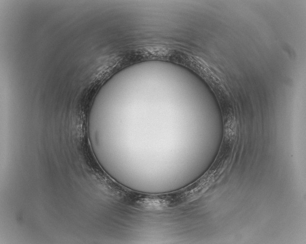 X0000115500464200911201622