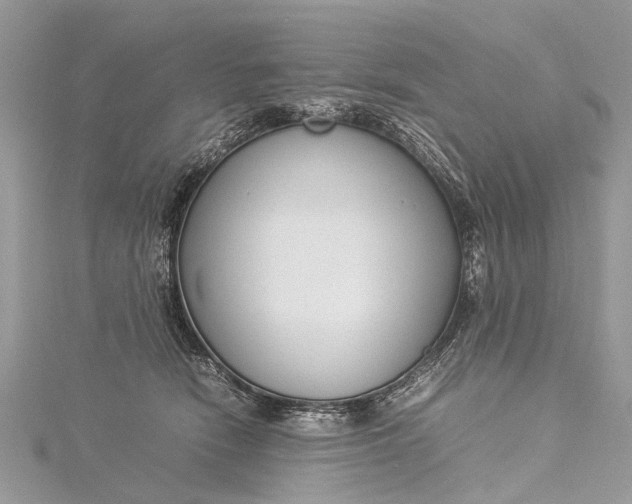 X0000115500466200911201622