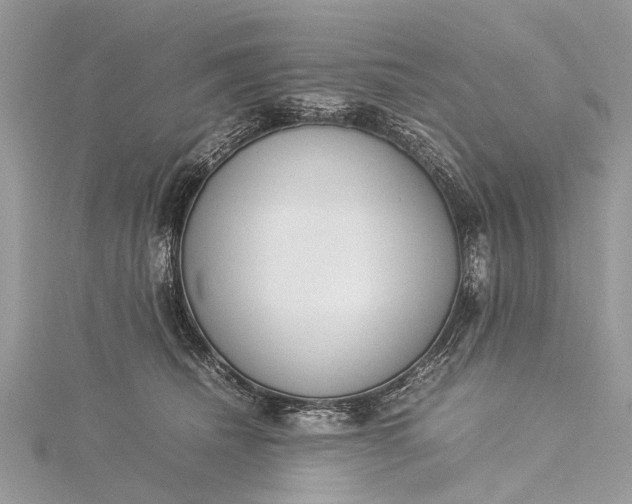 X0000115500468200911201622