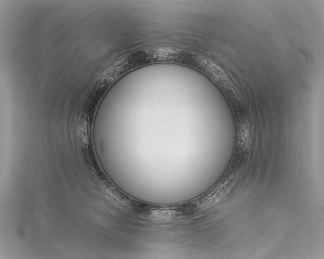 X0000115500470200911201622