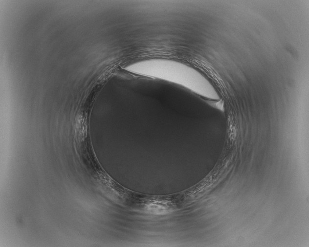 X0000115500471200911201622
