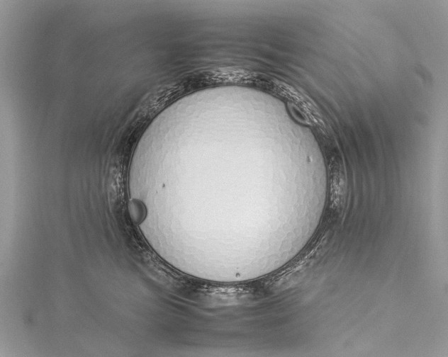 X0000115500473200911201622