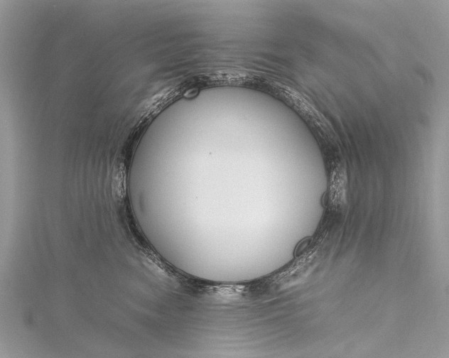 X0000115500474200911201622