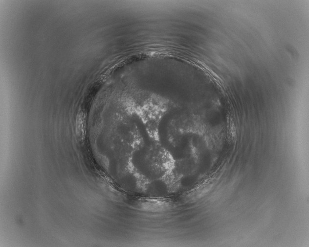 X0000115500475200911201622