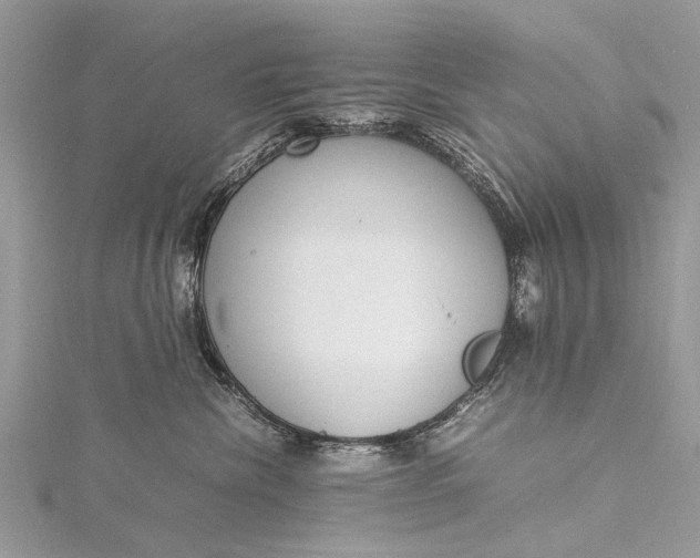 X0000115500476200911201622