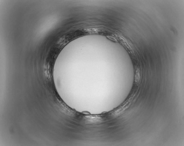 X0000115500477200911201622