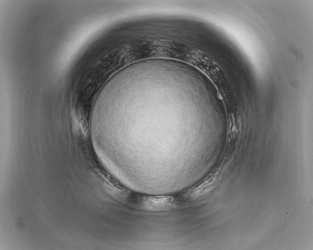 X0000115500479200911201622