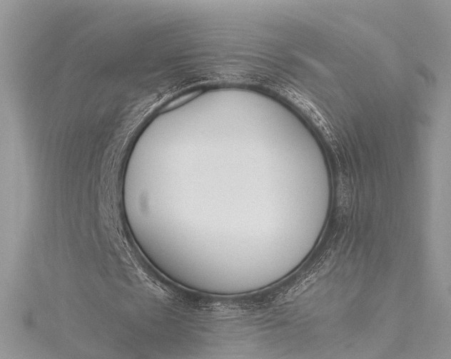 X0000115500481200911201622