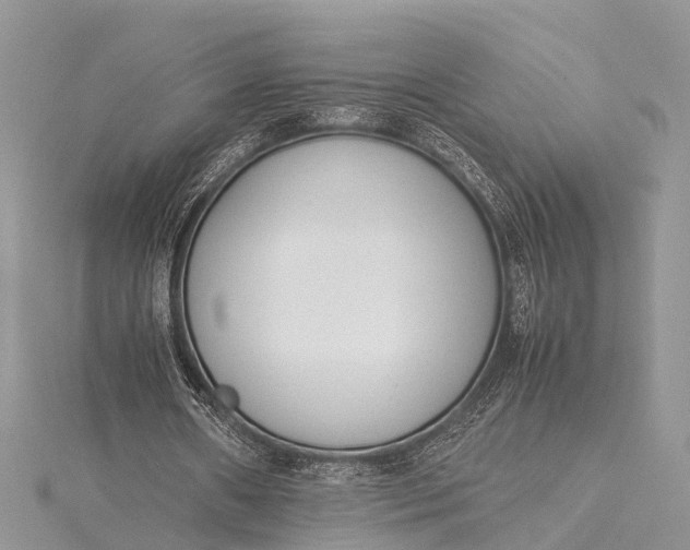 X0000115500482200911201622