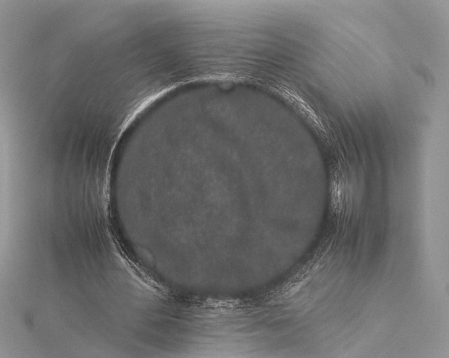 X0000115500484200911201622