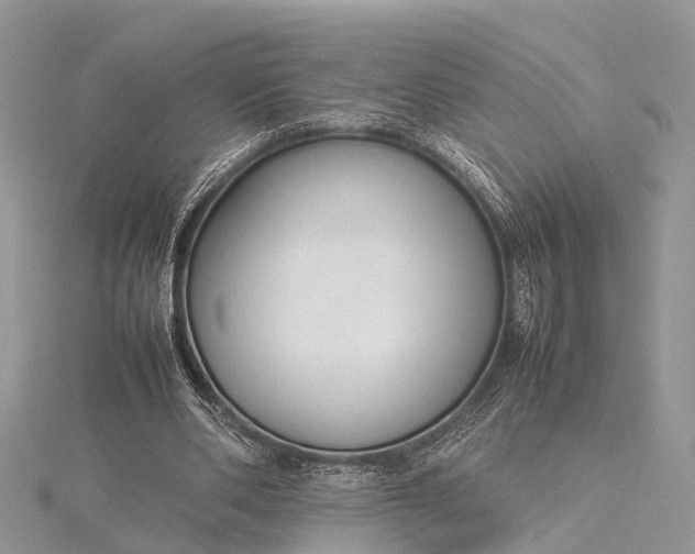 X0000115500486200911201621