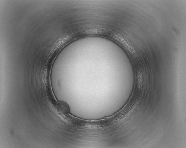 X0000115500490200911201621