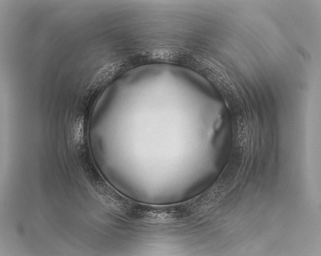 X0000115500502200911201621