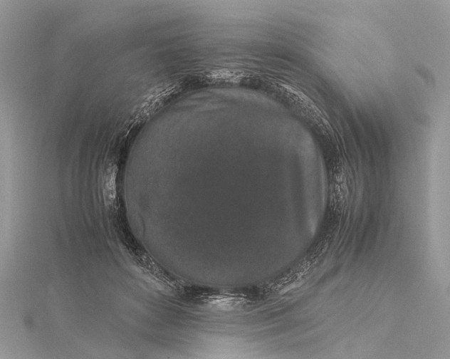 X0000115500504200911201621