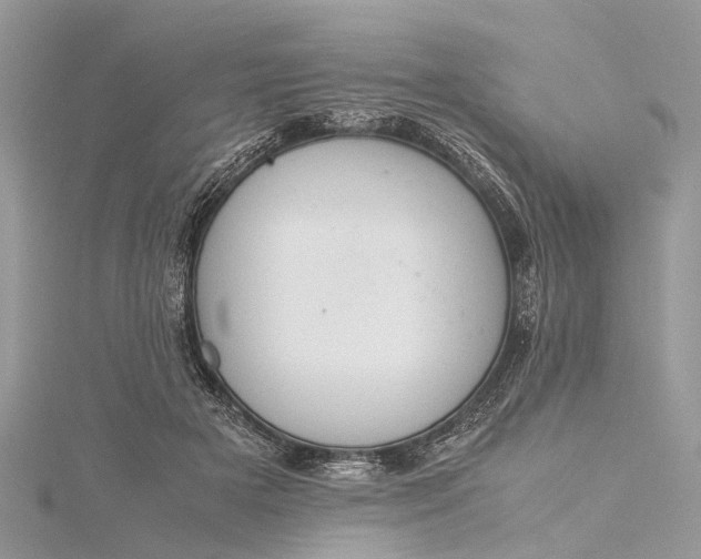 X0000115500505200911201621