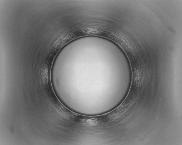 X0000115500506200911201621