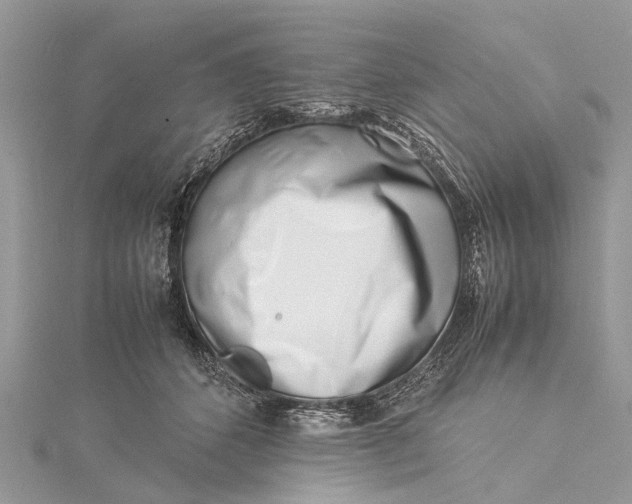 X0000115500512200911201621