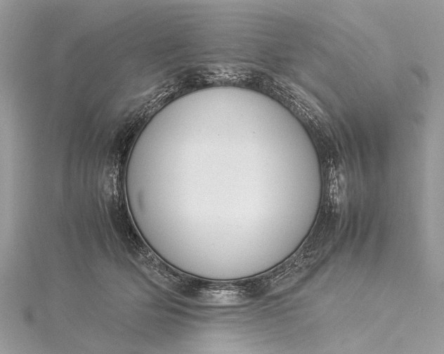 X0000115500514200911201621