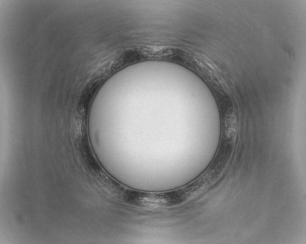 X0000115500515200911201621