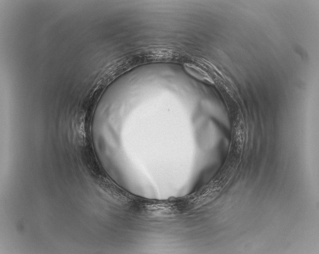 X0000115500516200911201621