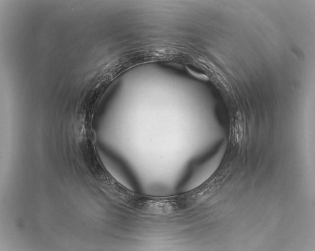 X0000115500520200911201621