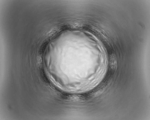 X0000115500523200911201621