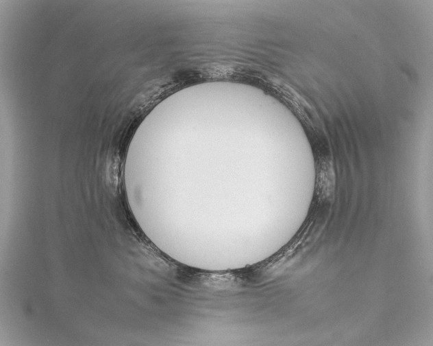 X0000115500525200911201621
