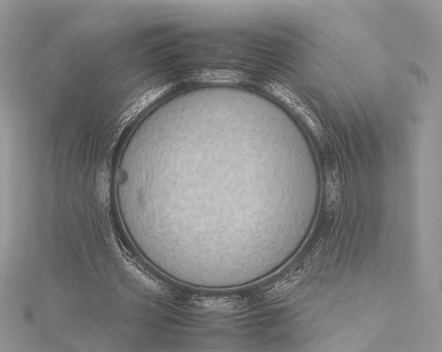 X0000115500533200911201620