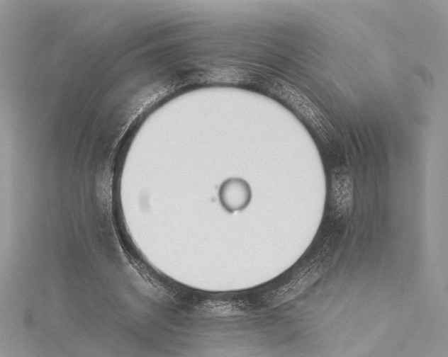 X0000115500534200911201620