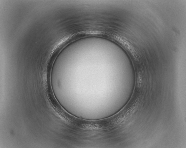 X0000115500535200911201620