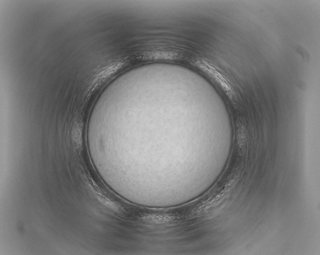 X0000115500537200911201620