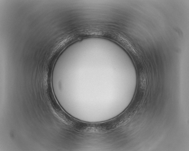X0000115500538200911201620