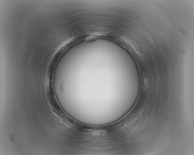 X0000115500539200911201620