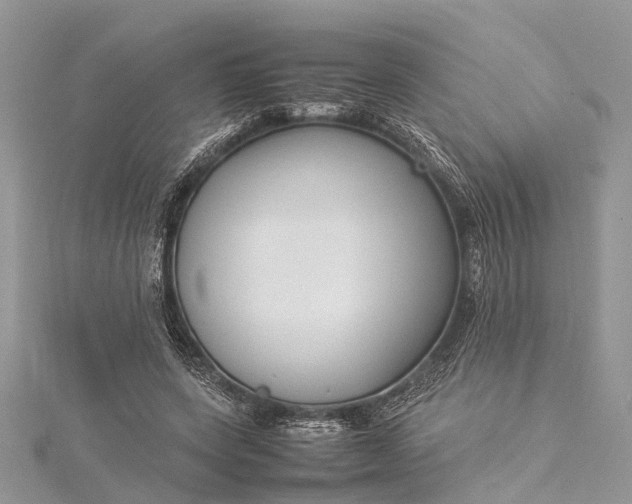 X0000115500543200911201621