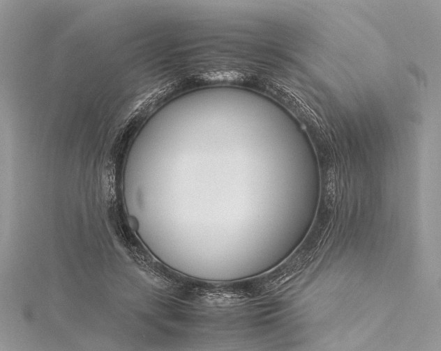 X0000115500547200911201621