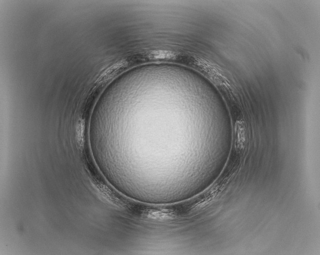 X0000115500550200911201621