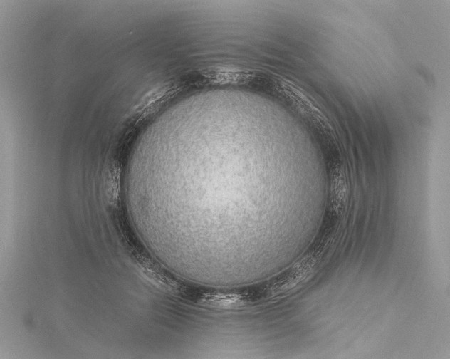 X0000115500554200911201621