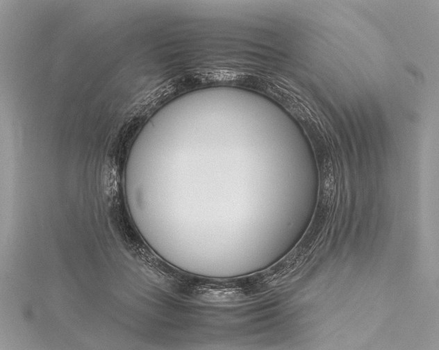 X0000115500555200911201621