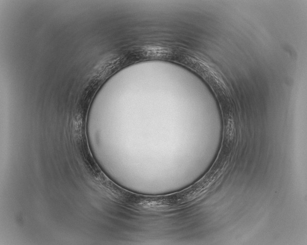 X0000115500557200911201621