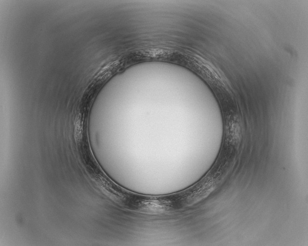 X0000115500558200911201621