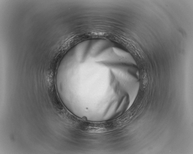 X0000115500559200911201621