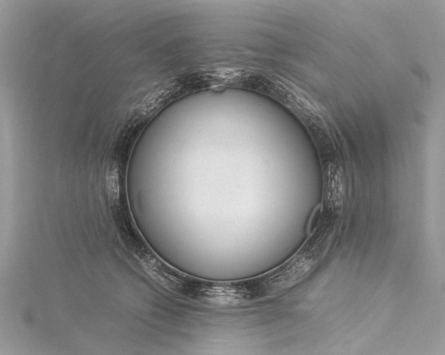 X0000115500562200911201621