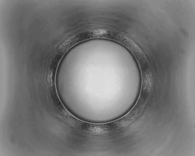 X0000115500565200911201621