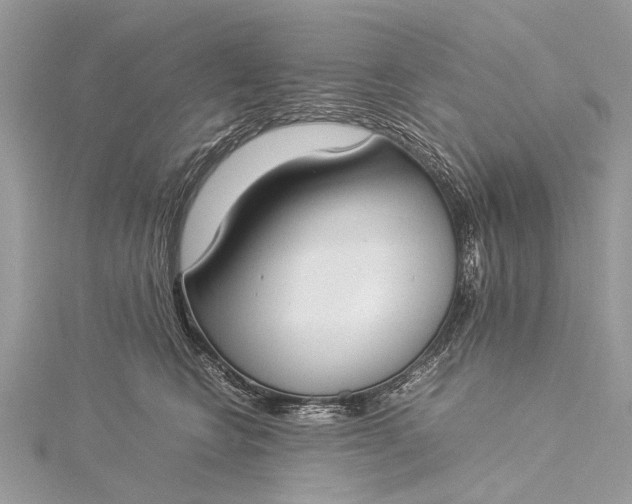 X0000115500566200911201621