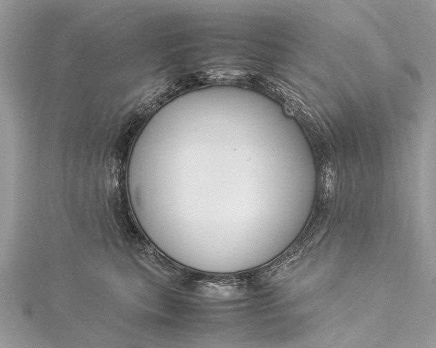 X0000115500567200911201621