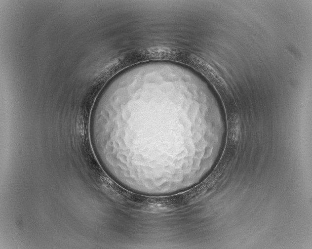 X0000115500569200911201621