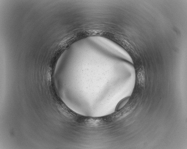 X0000115500570200911201621